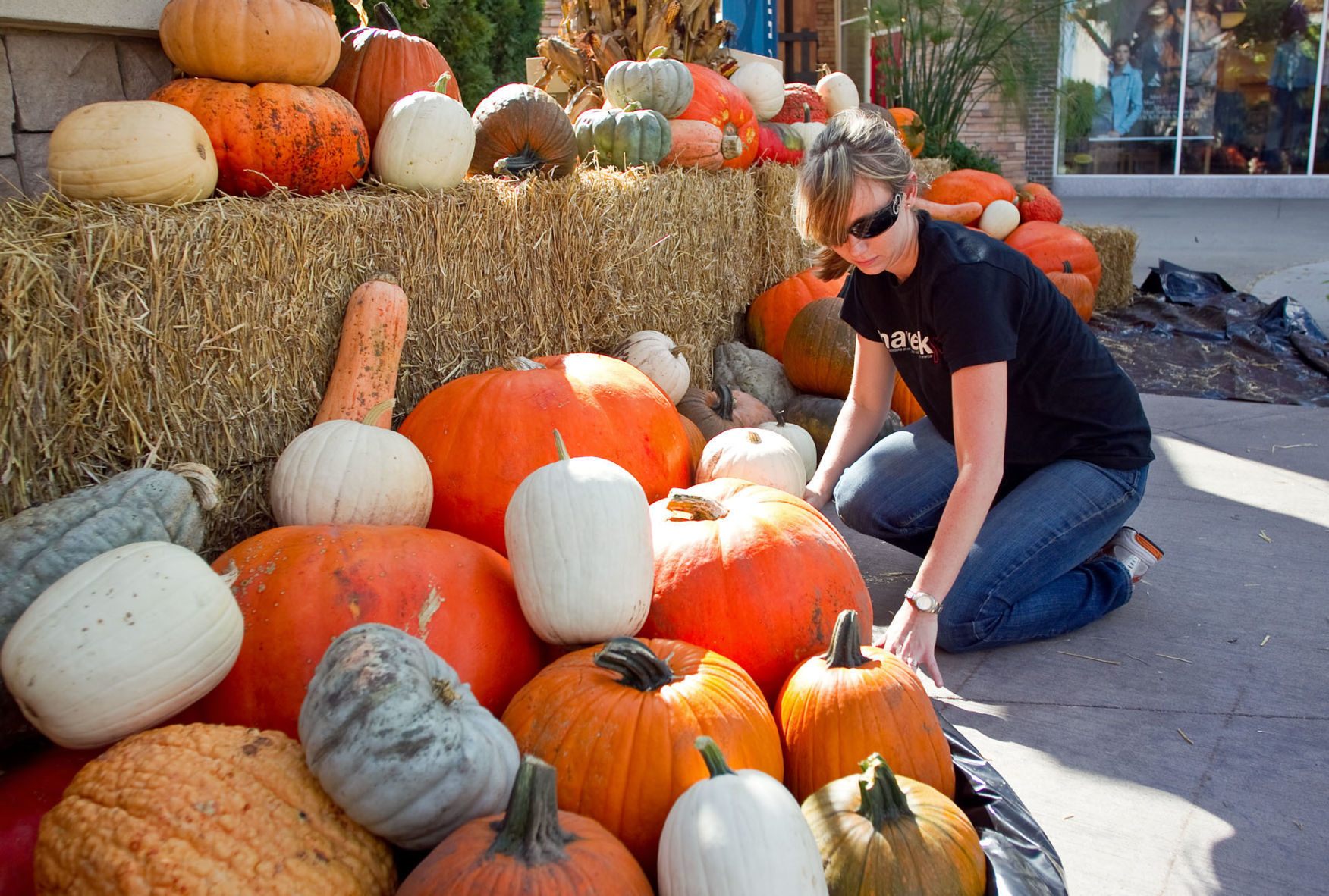 See Omaha’s Great Pumpkin Festival